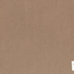 Cartulina Kraft 170gr