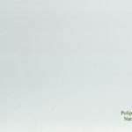 Polipropileno natural 0,8